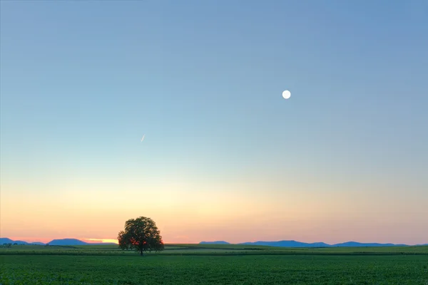 Montagne in Pfalz al tramonto — Foto Stock