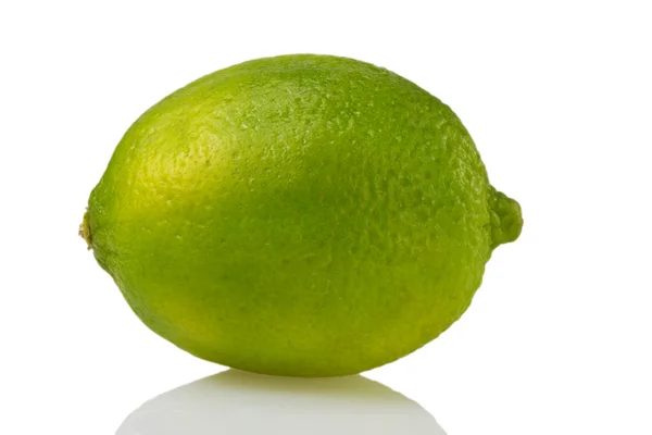 Stock image Isolated green lemon (lat. Citrus) - 