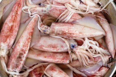 Freshly caught cuttlefish in Saigon, Vietnam clipart