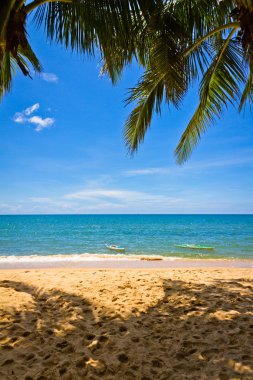 Sand beach with palms and canoes in Phu Quoc close to Duong Dong, Vietnam clipart