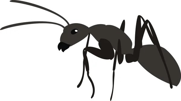 蚂蚁 — 图库矢量图片