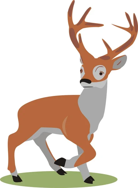 Wild deer — Stock Vector