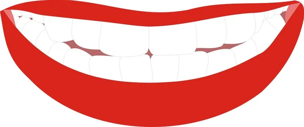 Lábios Atraentes Dentes Saudáveis Ilustração De Bancos De Imagens
