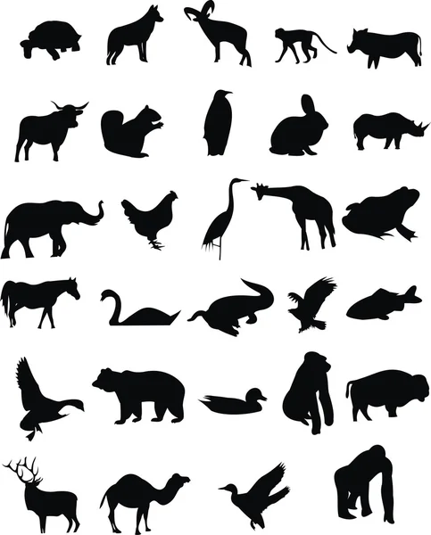 Animaux sauvages — Image vectorielle