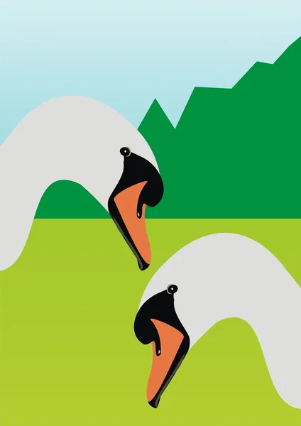 野天鹅 — 图库矢量图片