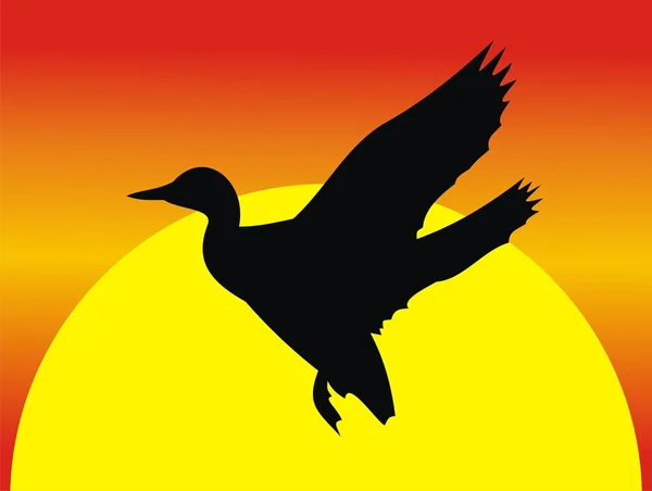 Lancement d'un canard — Image vectorielle