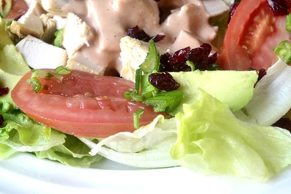 Kubus kip salade/Cranberrys — Stockfoto