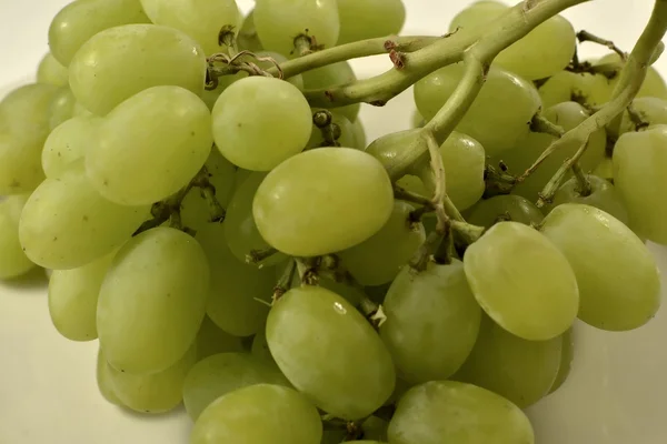 Course de raisin sur la vigne — Photo