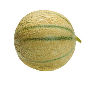 Melon Cantaloupe, isolated on the white clipart