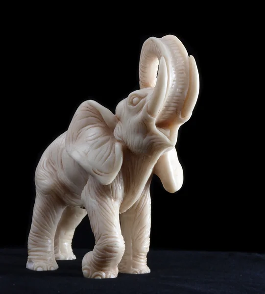 stock image Elephant model