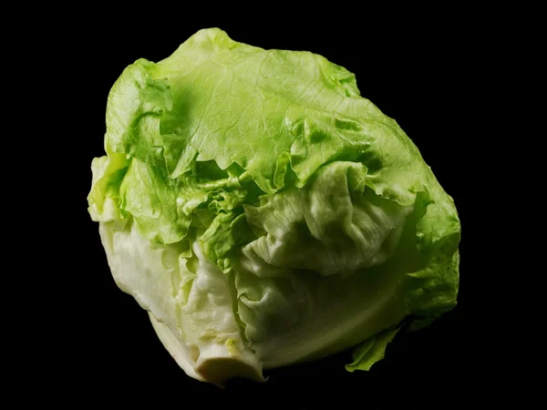 Kopfsalat — Stockfoto