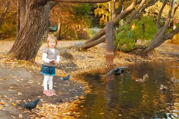 The girl feeds ducks and pigeons — Stock Photo, Image