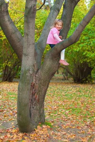 Girl is sitting on a tree — Stock Photo, Image