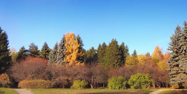 stock image Park in autumn.