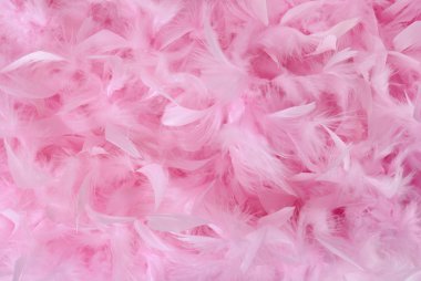 Small pink feathers in pile | Texture clipart