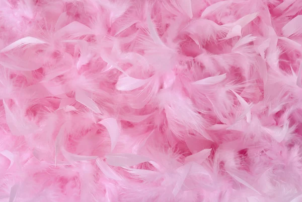 Small pink feathers in pile | Texture — Fotografie, imagine de stoc