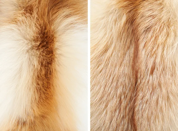 Fox téli bunda közelről #3. Nyak és a hát | Textúrák — Stock Fotó