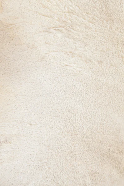 Fox skóry zamszowe z bliska #4 | Tekstura — Zdjęcie stockowe