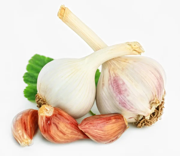 stock image Garlic