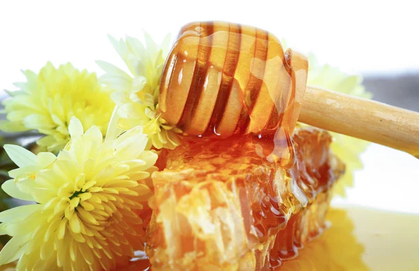 Honey — Stock Photo, Image