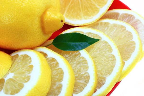 Primer plano de limón fresco . —  Fotos de Stock