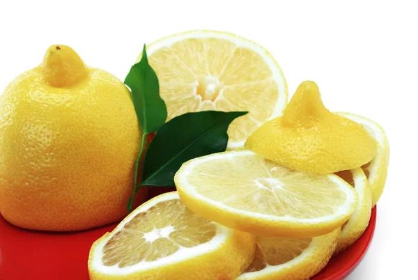 Primer plano de limón fresco . — Foto de Stock