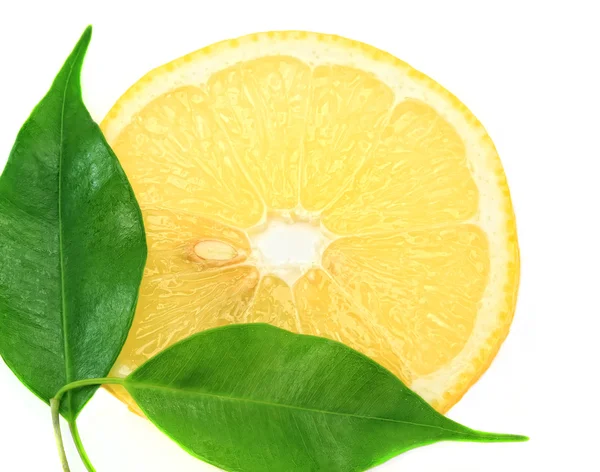 Primer plano de limón fresco . —  Fotos de Stock