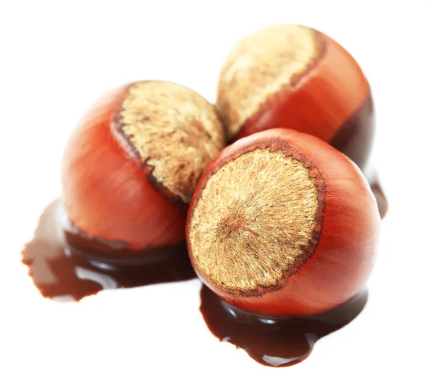 Hazelnut Chocolate — Stock Photo, Image
