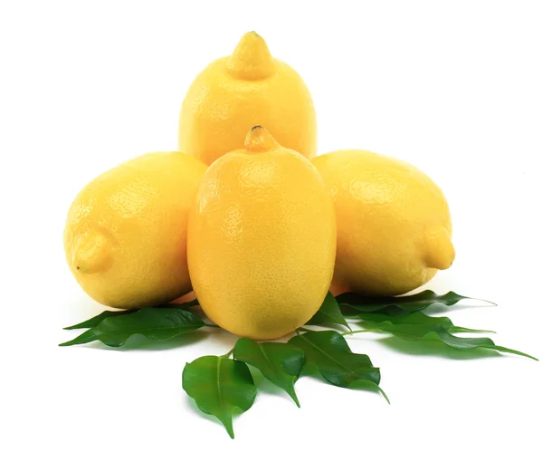 Amarillo limón —  Fotos de Stock