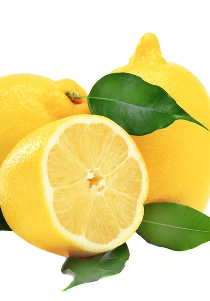 레몬노란 — 스톡 사진