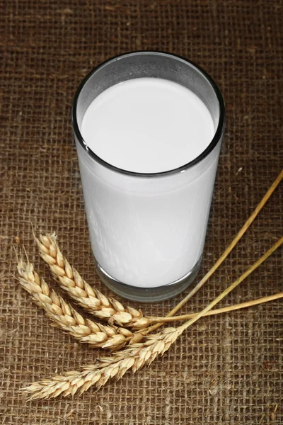 stock image Milk and bread