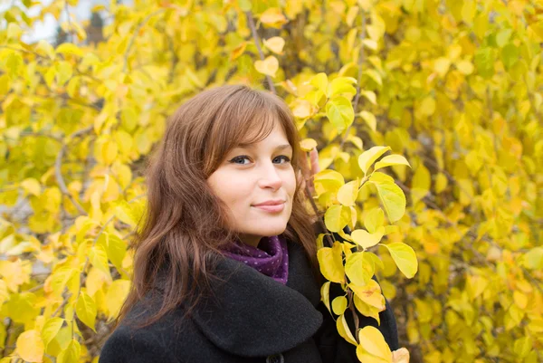 stock image Portrait of the young girl in the autumn