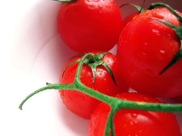 Czerwone pomidory w misce biały — Zdjęcie stockowe