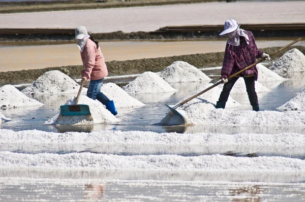 stock image Saline