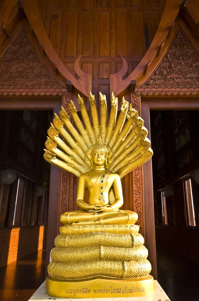 Golden buddha Stock Image