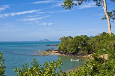 ayrıntı kabuk fosil beach mezarlığı Tayland