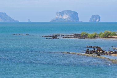 ayrıntı kabuk fosil beach mezarlığı Tayland