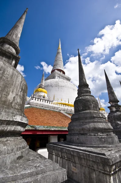 Detalle Del Enorme Complejo Del Templo Wat Phra Mahathat Nakhon — Foto de Stock