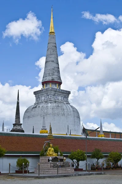 Detalle Del Enorme Complejo Del Templo Wat Phra Mahathat Nakhon —  Fotos de Stock