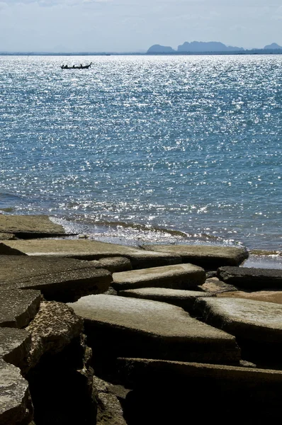 Cimetière Susan Hoi Shell Fossil Beach — Photo