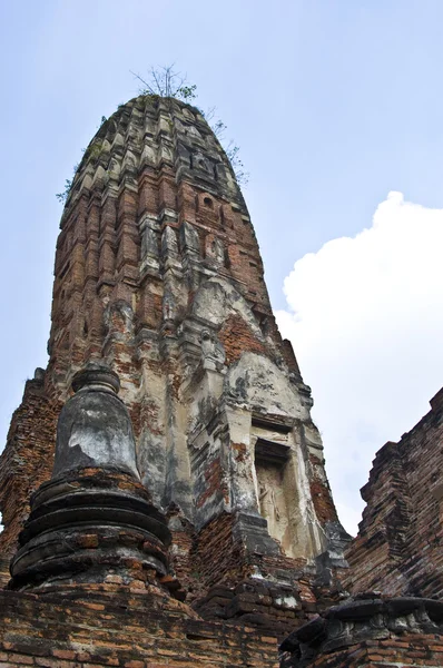 Wat Phra Ram — Zdjęcie stockowe