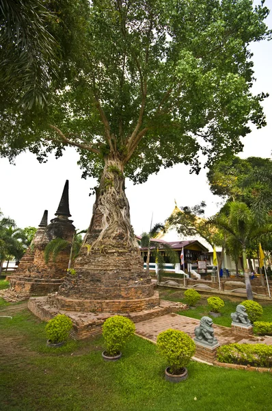 Mae de Wat Nang Pleum — Foto de Stock
