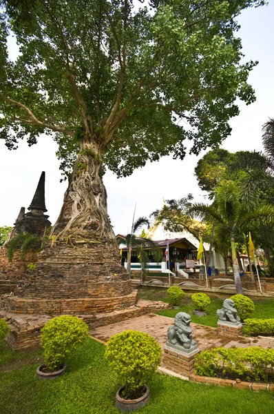 Wat Mae Nang Pleum — Stockfoto