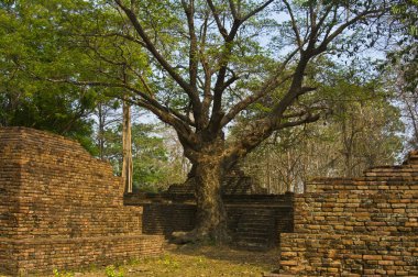 Wat Phra Kaeo