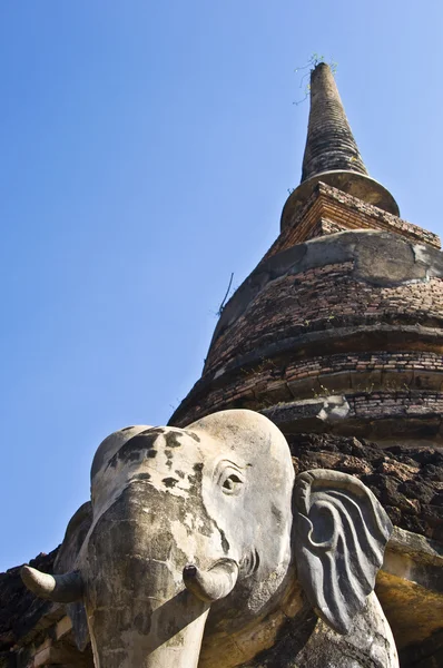 Wat Chang Lom — Photo