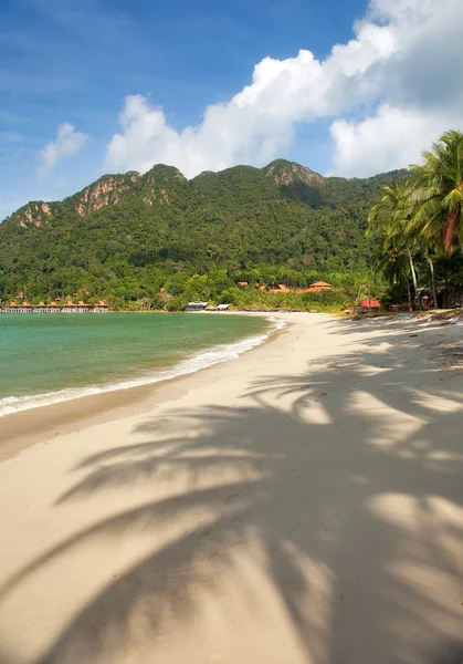 Пустой пляж с кокосовыми пальмовыми тенями — стоковое фото