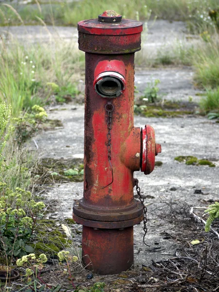 Yangın musluğuna beton — Stok fotoğraf