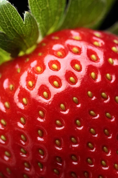Frische Erdbeeren in Nahaufnahme — Stockfoto