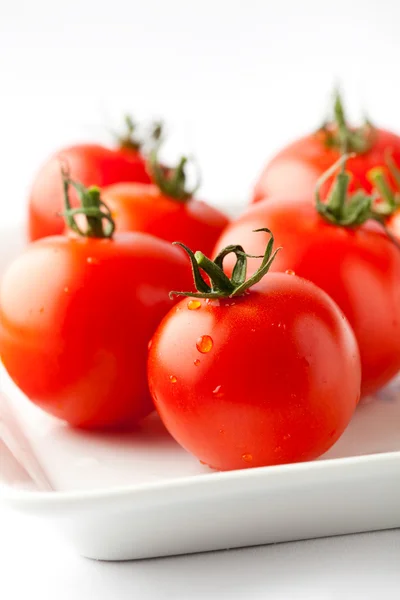 Свежие красные томаты — стоковое фото