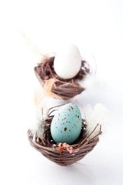 pastel renkli Paskalya yumurtaları bir yuvaya